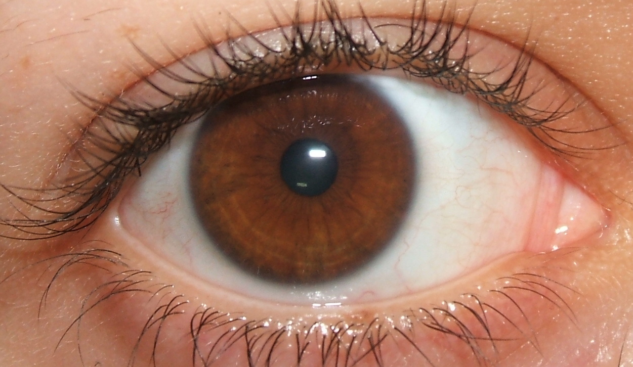 brown eye