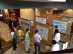 Poster displays
